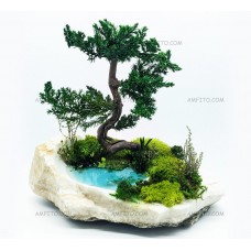 Бонсай на камне №2