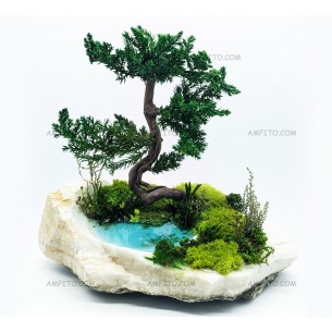 Бонсай на камне №2