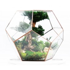 Хвойный бонсай №1 в стекле 30см