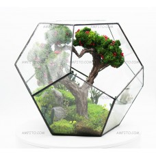 Бонсай Сердце в стекле 30см