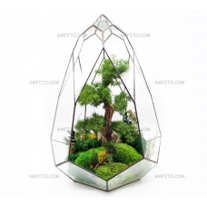 Хвойный бонсай №11 в стекле 45см