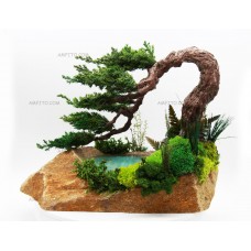 Бонсай на камне №13