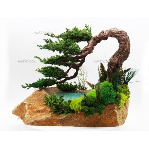 Бонсай на камне №13