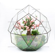 Бонсай Сакура в стекле 35см