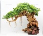 Бонсай для аквариума B80 (высота 30см) с искусственными листьями