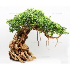 Бонсай для аквариума B80 (высота 30см) с искусственными листьями