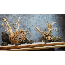 Композиция из азалии и карпатского камня KPZ-3