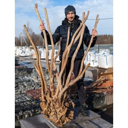 Великі корені Азалії для акваріума, тераріума, декора