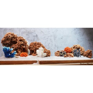 Композиция для псевдоморя KPZ-11. Спагетти и кораллы