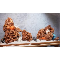 Композиция из Спагетти и кораллов KPZ-12