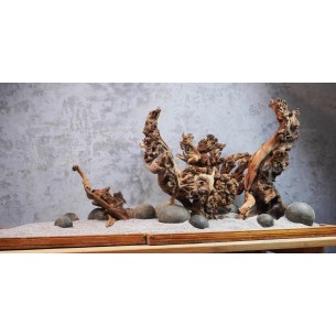 Композиция из Коралловго + Дракон KPZ-9