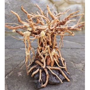 Бонсай B99 (высота 29см) для аквариума