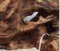 Мангровая коряга 81 для аквариума
