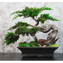 Стабилизированный бонсай "Япония" 40см