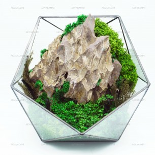 Моссариум с камнем "Dragonstone" 20см