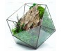 Моссариум с камнем "Dragonstone" 20см