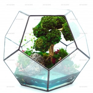 Моссариум с ниваки и имитацией озера 19см