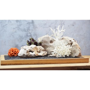 Композиция К239 для аквариума с кораллами (от 120л)