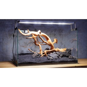 Композиция для аквариума K245 (от 60л)