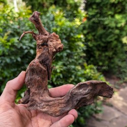 Корінь кораловий 8-12см для акваріума 