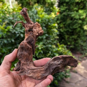 Корень коралловый 8-12см для аквариума