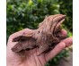 Корень коралловый 8-12см для аквариума