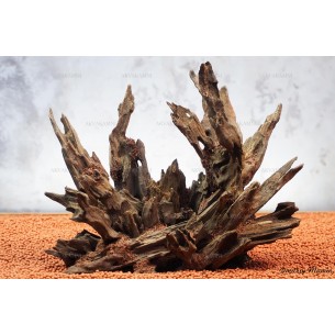 Цельная композиция №3 для аквариума