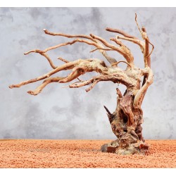 Бонсай B111 (висота 26см) для акваріума