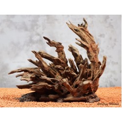 Цільна композиція №10 для акваріума