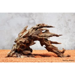 Цільна композиція №9 для акваріума