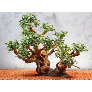 Бонсай для аквариума B114 (высота 28см) с искусственными листьями