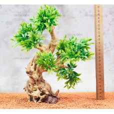 Бонсай B132 (высота 27см) для аквариума