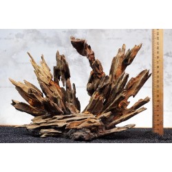 Цільна композиція №11 для акваріума