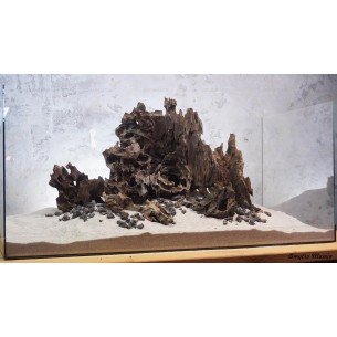 Композиция Е70 из корней Лабиринт (от 140л)