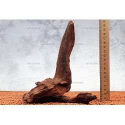 Корінь кораловий №15 для акваріума