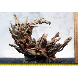 Цільна композиція №14 для акваріума