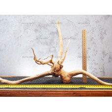 Корінь Азалії №81-О для акваріума