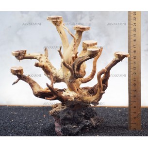 Бонсай B157 (высота 21см) для аквариума