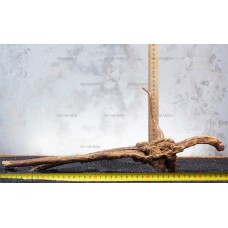 Корень Азалии №130О для аквариума