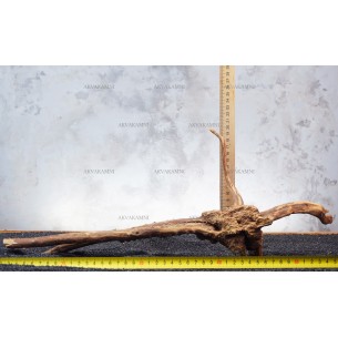 Корень Азалии №130О для аквариума