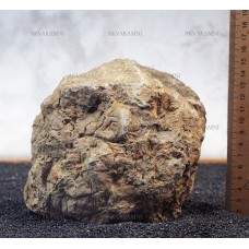 Карпатский камень 223 (3kg)