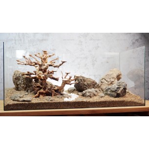 Композиція з Дракону KPZ-23