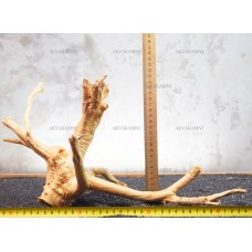 Корень Азалии №243 для аквариума