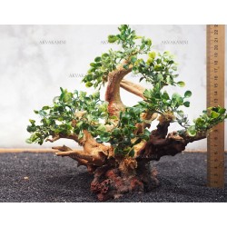 Бонсай B178 (высота 22см) для аквариума