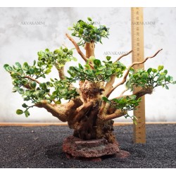 Бонсай B177 (высота 23см) для аквариума