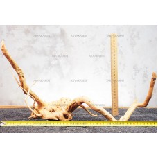 Корень Азалии №7 для аквариума