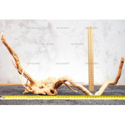 Корень Азалии №7 для аквариума