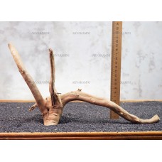 Корень Азалии №29 для аквариума