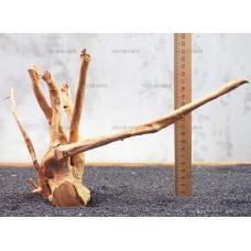 Корень Азалии №30 для аквариума