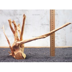 Корінь Азалії №30 для акваріума Корінь Азалії №30 для акваріума